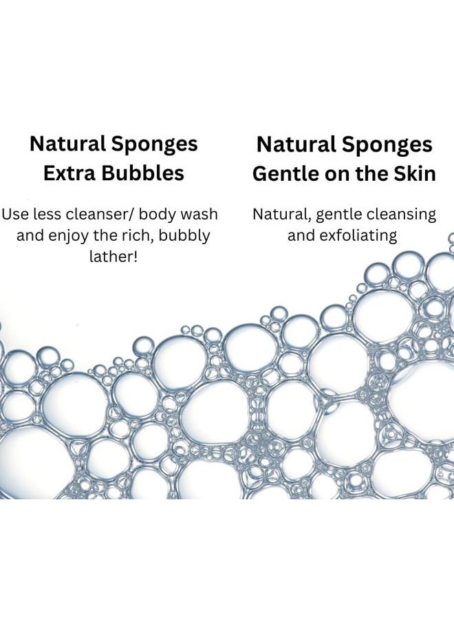 Bath & Shower Express Sea Wool Sponge 4-5" (Small) by Bath & Shower Express ® Natural Authentic Renewable Resource for Women & Men Esponja for Exfoliating and Washing Body - Image 5