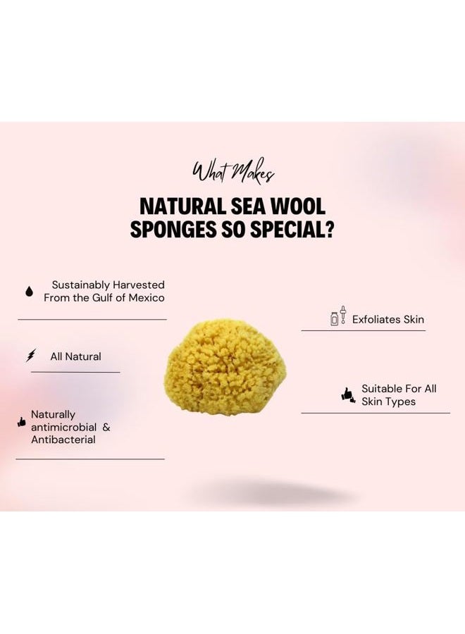 Bath & Shower Express Sea Wool Sponge 4-5" (Small) by Bath & Shower Express ® Natural Authentic Renewable Resource for Women & Men Esponja for Exfoliating and Washing Body - Image 3