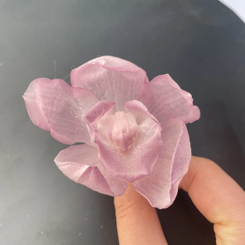 Bluejw Eternal Real Orchid Flower – Preserved Dried Plants for Long-Lasting Wedding, Home & Party Decoration (Lasts Years Without Water) - Image 2