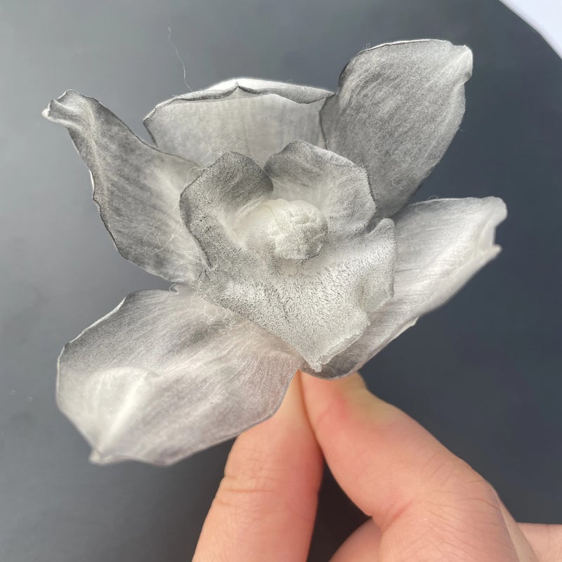 Bluejw Eternal Real Orchid Flower – Preserved Dried Plants for Long-Lasting Wedding, Home & Party Decoration (Lasts Years Without Water) - Image 1