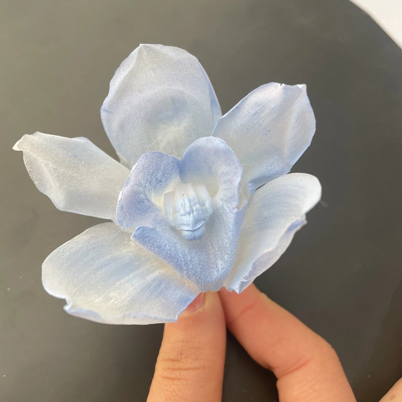 Bluejw Eternal Real Orchid Flower – Preserved Dried Plants for Long-Lasting Wedding, Home & Party Decoration (Lasts Years Without Water) - Image 4