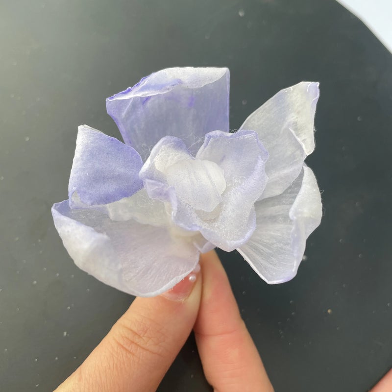 Bluejw Eternal Real Orchid Flower – Preserved Dried Plants for Long-Lasting Wedding, Home & Party Decoration (Lasts Years Without Water) - Image 5