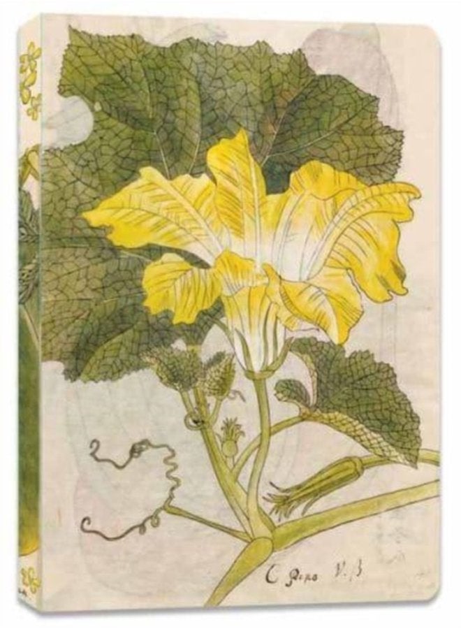 Japanese Squash Blossom Lined Paperback Journal Blank Notebook with Pocket - Paperback