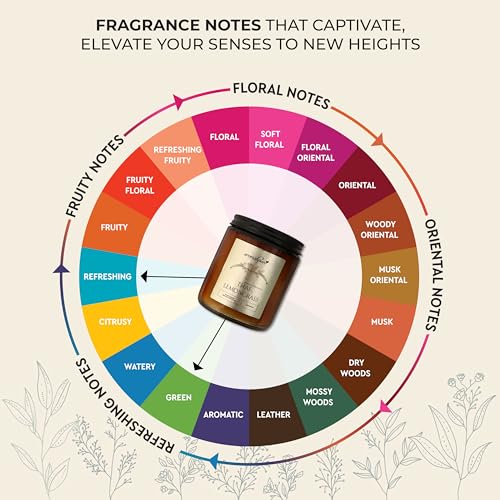 Aromahpure Premium Black Screw Jar Candle | Lemongrass Scented Candle | 100% Soy Wax, Smokeless Candle | Pack of 1 | Long Lasting Aroma Candles| Scented Candles for Home Decor, IFRA Certified - Image 3