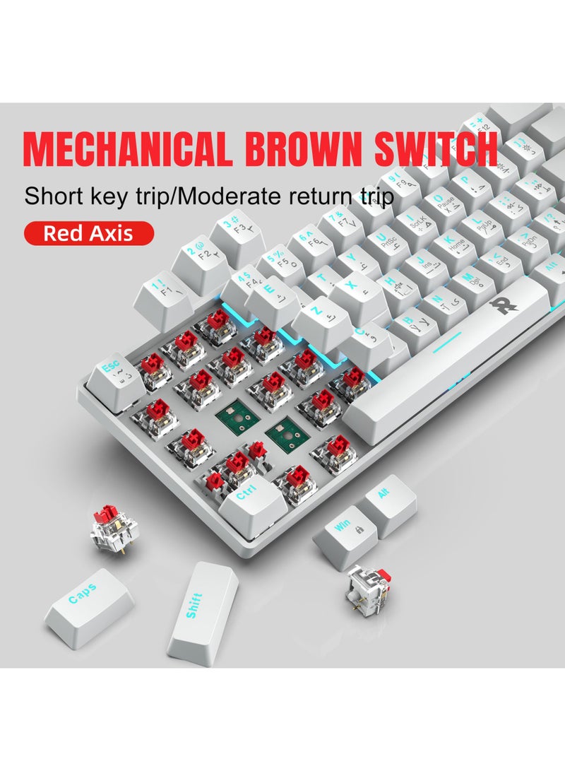 Rock Pow 61keys 60% Mechanical Gaming Keyboard Arabic  Ice Blue Backlit Ultra-Compact Mini Keyboard, Mini Compact Keyboard for PC/Mac Gamer, Typist, Easy Carry on Trip - Image 4