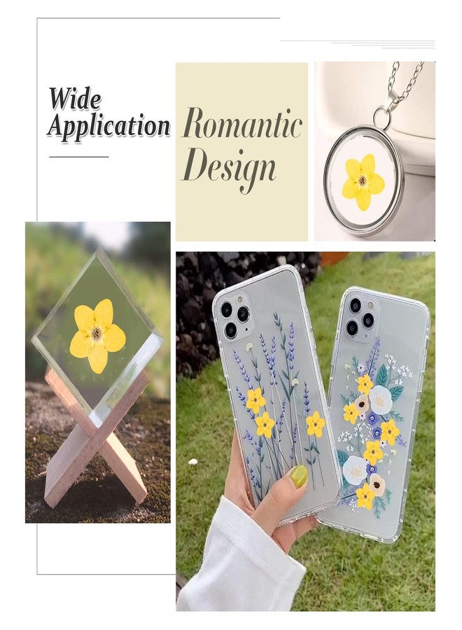 HEISENLIN زهور لا تنساني مجففة من هايزنلين، 60 قطعة، صفراء، طبيعية، مثالية للأعمال اليدوية، وصناعة المجوهرات الراتنجية، والشموع، والبطاقات، وفن الأظافر، وزينة الزهور - Image 4