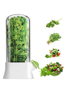 Fresh Herb Keeper, for Refrigerator, Space, Saving Container for Cilantro, Mint, Parsley, and Asparagus, Plastic Storage Container for Herb Preservation