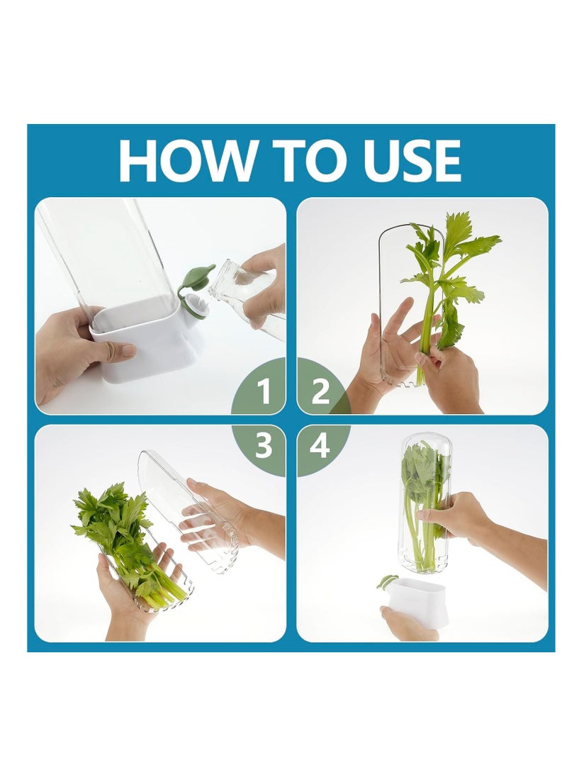 SYOSI - Fresh Herb Keeper, for Refrigerator, Space, Saving Container for Cilantro, Mint, Parsley, and Asparagus, Plastic Storage Container for Herb Preservation - Image 1