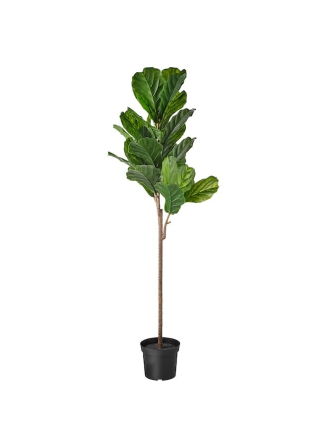 FEJKA - Artificial Potted Plant In And Outdoor Fiddle-Leaf Fig 19 Cm - Image 1