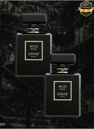 2 Pieces Wild Pegasus Riyadh Perfume 50ml EDP - pzsku/Z2247C00F425341FBF32EZ/45/_/1732906553/2ff66add-46e8-4cdd-97cc-8c3b4cde19e5