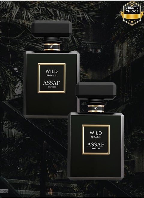 2 Pieces Wild Pegasus Riyadh Perfume 50ml EDP
