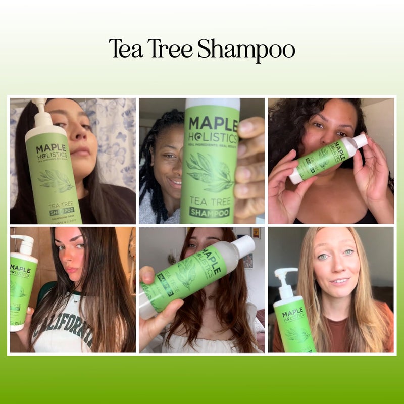 Maple Holistics Tea Tree Oil Shampoo Sulfate Free - Deep Cleansing Vegan Tea Tree Shampoo for Oily Hair and Scalp - Daily for Build up with Rosemary Essential Oil for All Hair Types 25 Fl Oz - Image 2