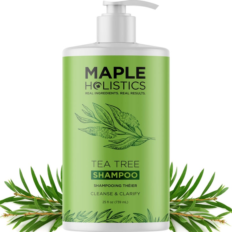 Maple Holistics Tea Tree Oil Shampoo Sulfate Free - Deep Cleansing Vegan Tea Tree Shampoo for Oily Hair and Scalp - Daily for Build up with Rosemary Essential Oil for All Hair Types 25 Fl Oz - Image 1