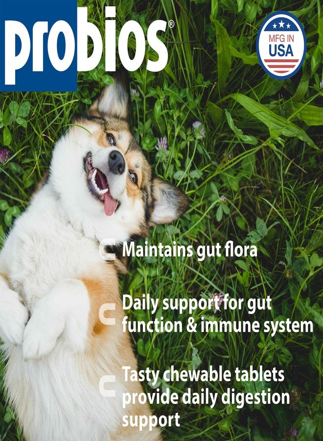 بروبيوس أقراص بروبيوتيك قابلة للمضغ للكلاب، مكمل بروبيوتيك يومي لصحة الأمعاء والهضم ودعم المناعة، 45 قرصًا (عبوة من قطعتين) - Image 2