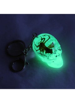 ريل بج سلسلة مفاتيح REALBUG على شكل عنكبوت حقيقي في جمجمة أكريليك شفافة  - Image 4