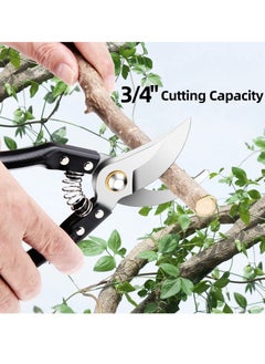 نيبمينينت Pruning Shears, Gardening Scissor, Sharp Bypass Garden Premium Scissors, Stainless Steel Tree Trimmers Secateurs for Gardening, Arboriculture & Plant Nurseries  - Image 3