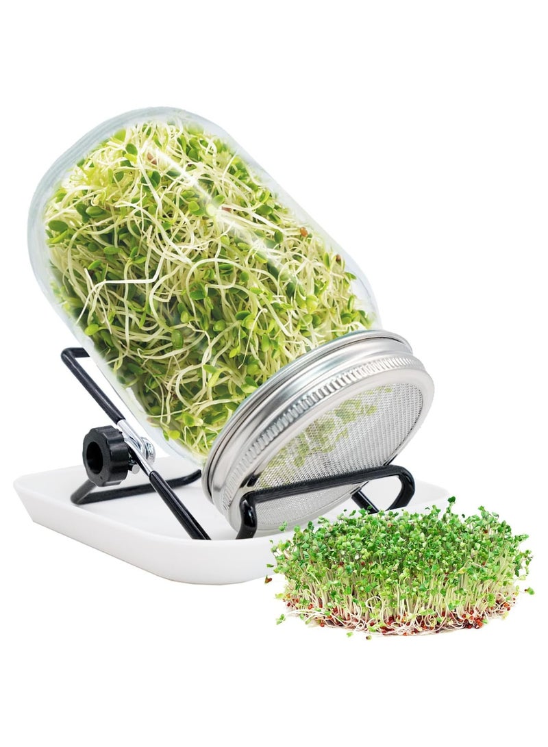 طقم برطمان للبراعم مزود بغطاء منخل من الفولاذ المقاوم للصدأ لبراعم البذور بسعة 1000 مل، وحامل وصينية وغطاء ظليل، طقم براعم البذور للبروكلي والبرسيم وبراعم الفاصوليا - Image 1