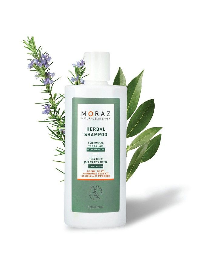 Moraz Natural Repair Moisturizing Shampoo For Normal To Oily Hair With Herbal Essences Shampoo For Women Vegan Natural Hair Treatment Organic Shampoo Paraben And Cruelty Free 17 Fl.O - Image 2