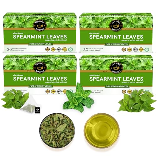 TEACURRY Spearmint Leaf Tea Bag - Helps With Hormonal Imbalance, Facial Hair, And Memory | Spearmint Loose Leaf ((120 Tea Bags - 4 Month Pack)) - 60Gm - Image 1
