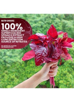 Health & Household Nutrigardens Vita Spinach Powder -Red Spinach Extract Nitric Oxide Booster -Supports Blood Pressure & Flow, Energy, Endurance, Pre Workout Performance Boost -Natural Superfood Supplement (30 Servings)  - Image 2