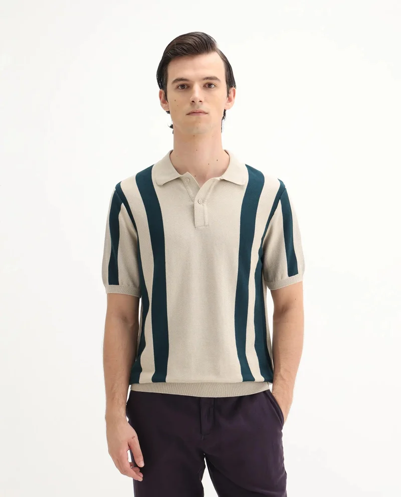 Rare Rabbit Men's Cotton Regular Fit Striped Polo