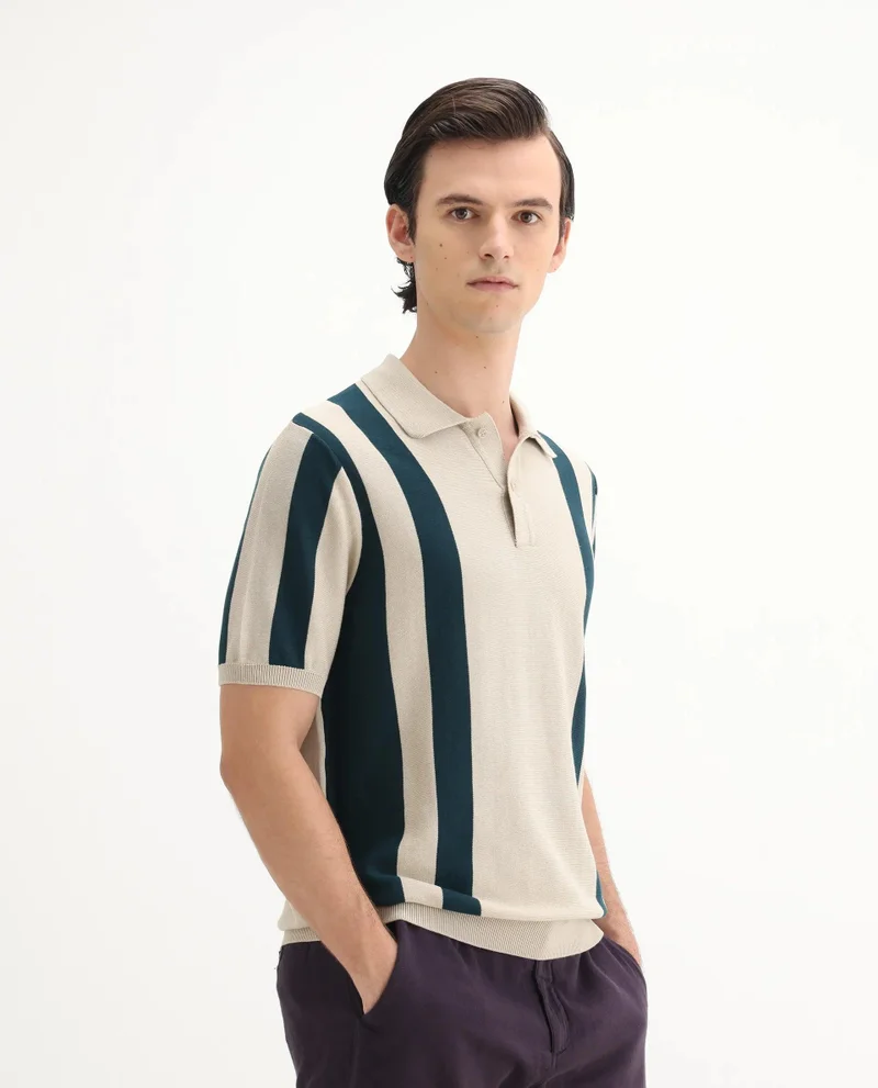 Rare Rabbit Men's Cotton Regular Fit Striped Polo