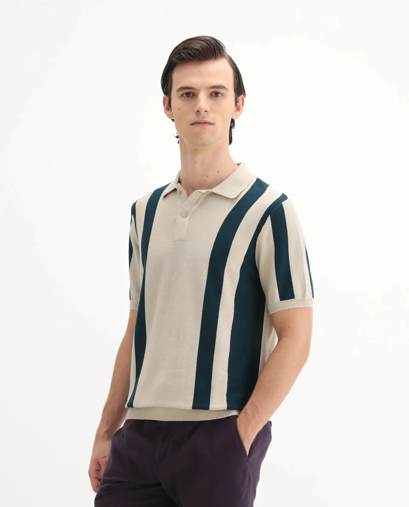 Rare Rabbit Men's Cotton Regular Fit Striped Polo