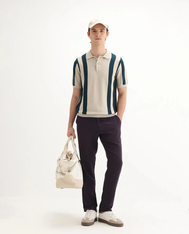 Rare Rabbit Men's Cotton Regular Fit Striped Polo