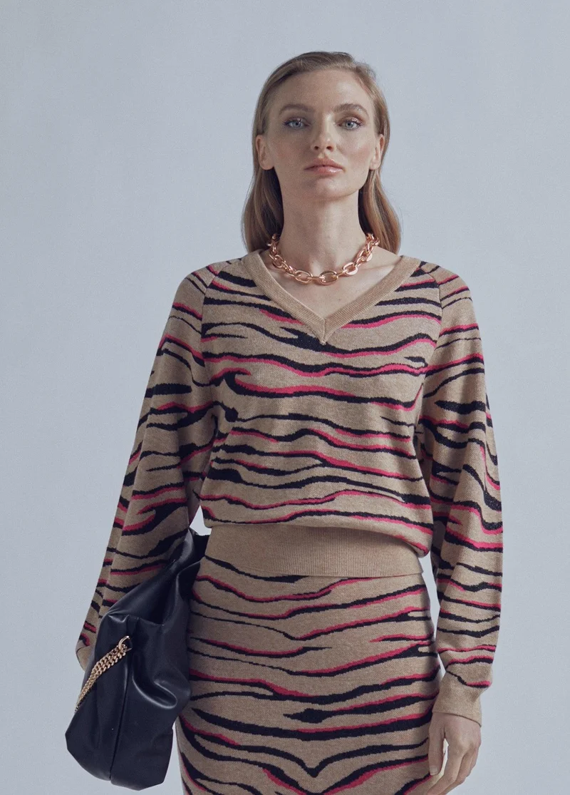 Lola Casademunt V-neck animal print sweater