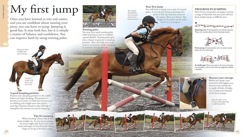 How To...Horse Riding: A Step-by-Step Guide to Mastering Your Skills - Image 5