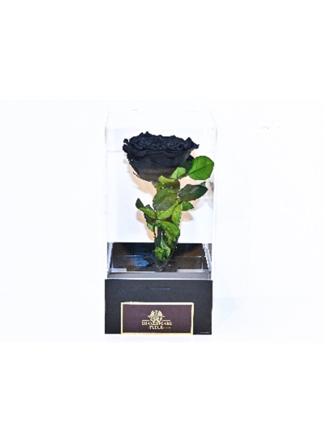 Generic Preserv Rose Black 
