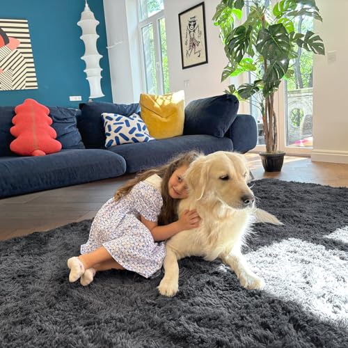 OLANLY 5x7 Machine Washable Large Area Rugs for Living Room, Bedroom, Soft Fluffy Shaggy Bedside Rug, Indoor Floor Carpet for Kids Girls and Boys, Dorms, Nursery, Home Decor Aesthetic, Grey - Image 5
