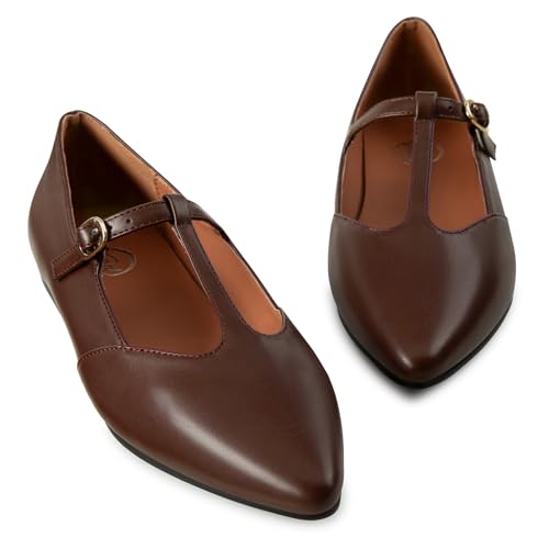 Trary Brown Flats for Women T-Straps Mary Jane Shoes Pointed Toe Women's Ballet Flats Comfortable Adjustable Buckle Slip On 2025 Fall Dress Shoes Loafer for Business Casual Work - Image 5