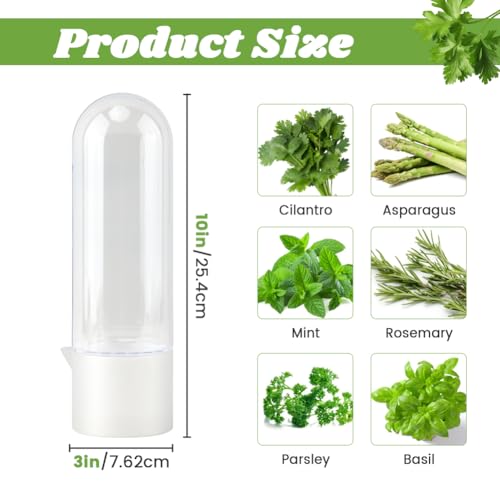 Giyochie Fresh Herb Saver Cilantro Storage Containers for Refrigerator, Transparent Herbs Saver fits Fridge Asparagus Parsley Mint Leaves, Keeps Greens Vegetables for 2-3 Weeks(SIZE:2 pcs) - Image 2