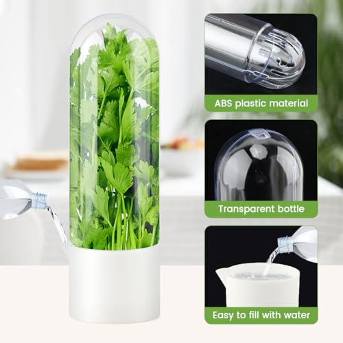 Giyochie Fresh Herb Saver Cilantro Storage Containers for Refrigerator, Transparent Herbs Saver fits Fridge Asparagus Parsley Mint Leaves, Keeps Greens Vegetables for 2-3 Weeks(SIZE:2 pcs) - Image 3