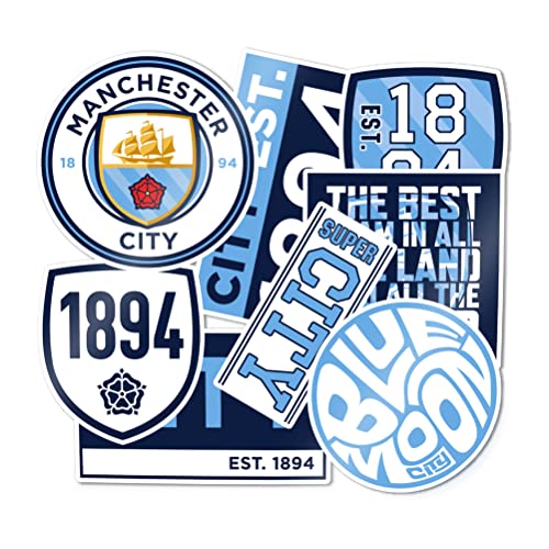 Desert Cactus Manchester City Stickers Man City MCFC Sheet Vinyl Football Soccer Premier League Decal Laptop Water Bottle Car Scrapbook Sheet (Type 2) - Image 1