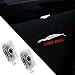 uuakarin 2 PCS Last Call Car Door Logo Lights Compatible for Charger 2010present Courtesy LED Ghost Shadow Light Projector Lamps Accessories Last Call 02 - Image 2