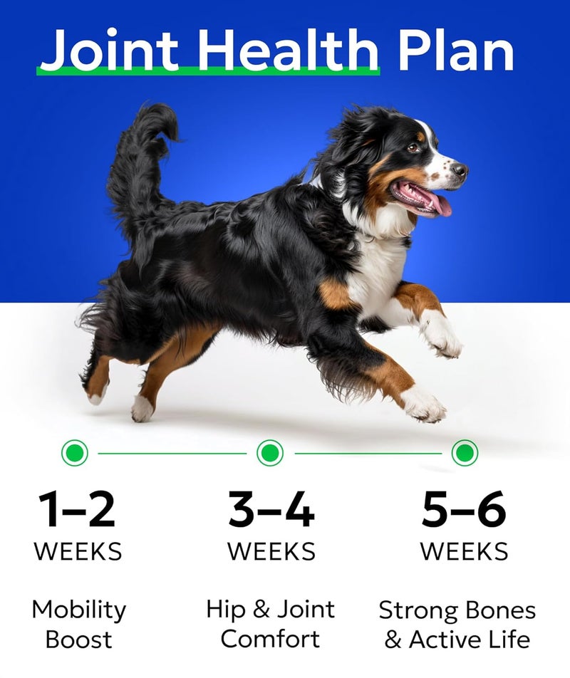 BARK&SPARK مكمل بارك آند سبارك الجلوكوزامين والكوندرويتين للكلاب لدعم مفاصل الورك - تخفيف آلام المفاصل - مضغات لدعم مفاصل الورك - دعم المفاصل للسلالات الكبيرة والصغيرة - حبوب فيتامين للكلاب المسنة لصحة المفاصل (120 قطعة - نكهة لحم الخنزير المقدد) - Image 4