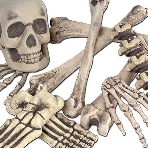 Beistle Skeleton Decoration Bone Décor Beistle 12 Piece Plastic Novelty Skeleton Bones and Skull Horror Haunted House Prop Decorations Spooky Halloween Party Supplies, 6"-16", Off White/Gray - Image 4