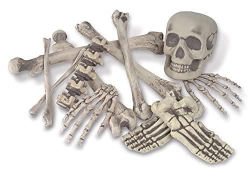 Beistle Skeleton Decoration Bone Décor Beistle 12 Piece Plastic Novelty Skeleton Bones and Skull Horror Haunted House Prop Decorations Spooky Halloween Party Supplies, 6"-16", Off White/Gray - Image 1