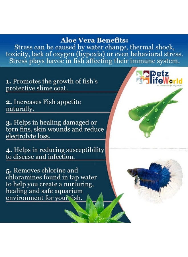 VAYINATO علاج مائي فاييناتوا ستوري بيتا ويل شور|محلول شامل معزز بالألوة فيرا لصحة سمك البيتا مثل تعفن الزعانف، الجروح الخارجية والاستسقاء (30 مل * عبوة من 2) - 60 مل - Image 4