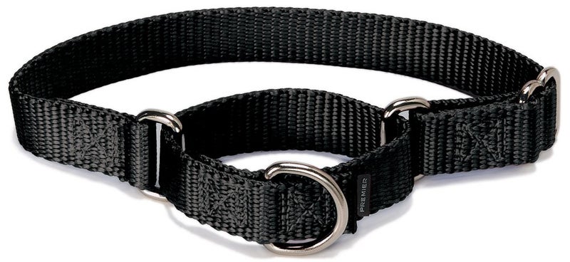 PetSafe Adjustable Martingale Collar - Only Tightens When Dogs Pull, Prevents Slipping Out - Helps with Strong Pullers, Increased Control - Alternative to Choke Collar - 3/4", Medium, Black - Image 4