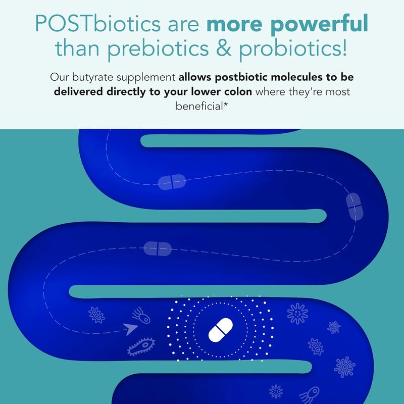 Sane مكمل SANE MD Viscera 3 Postbiotics مع Tributyrin Sodium Butyrate لتخفيف الغازات والانتفاخ وصحة الأمعاء IBS وLeaky Gut مكمل حمض الزبدة معتمد من NSF 30 كبسولة - Image 3