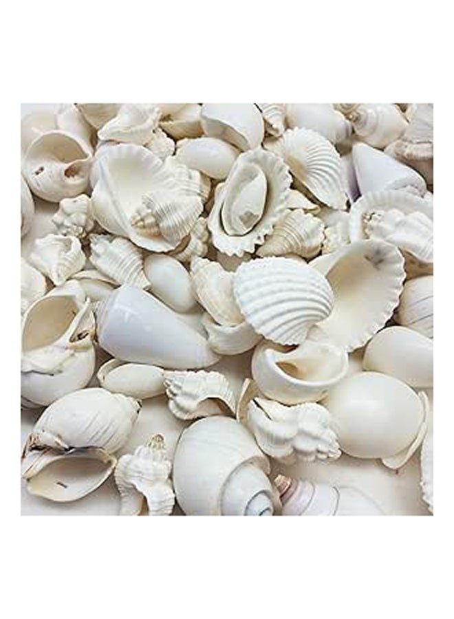 Shells Beads for Jewelery Making - Image 1
