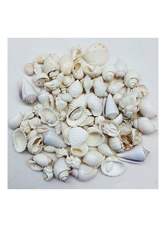 Shells Beads for Jewelery Making - Image 3