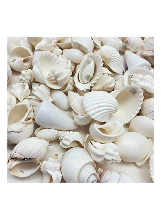 Shells Beads for Jewelery Making - Image 2