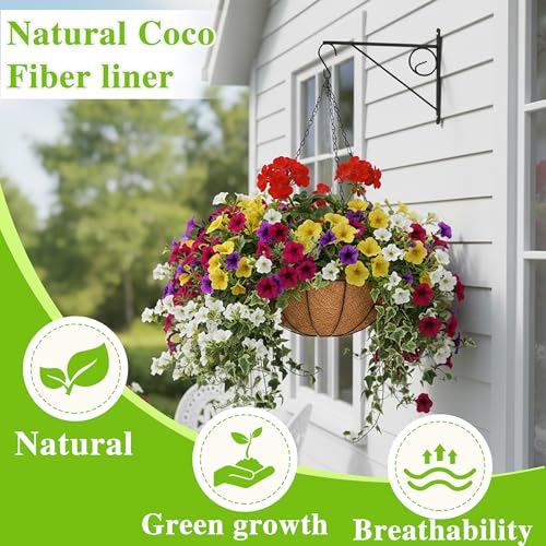 EIMQUVW Hanging Planters Basket Set of 3 Hanging Flower Pots 10 Inch Chain Round Wire Plant Holder with Coco Coir Liner Garden Watering Hanging Baskets for Patio Garden Outdoor1 - Image 2