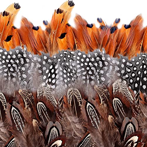 camelize Brown Feathers 350pcs Natural Speckled Feathers for DIY Dream Catcher Crafts costumes hats handicrafts home decor Halloween DIY decoration Length 232