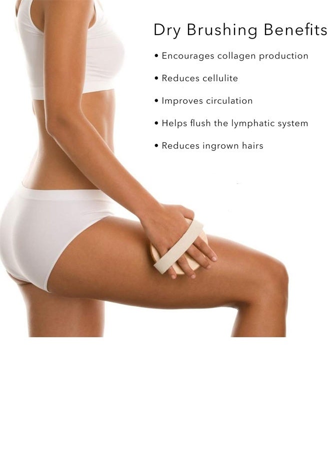 5PCS Long Handle Dual Side Dry and Bath Body Brush,Soap Saver Bag Pouch Mesh Net,Long Handle Dual-Sided Shower Brush Body Exfoliator, Natural Exfoliating Brush for Skin Renewal, Lymphatic Support and Circulation Boost - Image 4