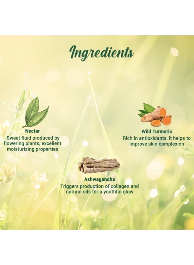 بيوتيك لوشن بيوتيك مورنينج نكتار مرطب للبشرة الخالية من العيوب L يمنع البقع الداكنة والرؤوس السوداء والعيوب L بشرة خالية من العيوب بشكل واضح L يغذي ويرطب البشرة L لوشن لجميع أنواع البشرة L 250 مل - Image 4